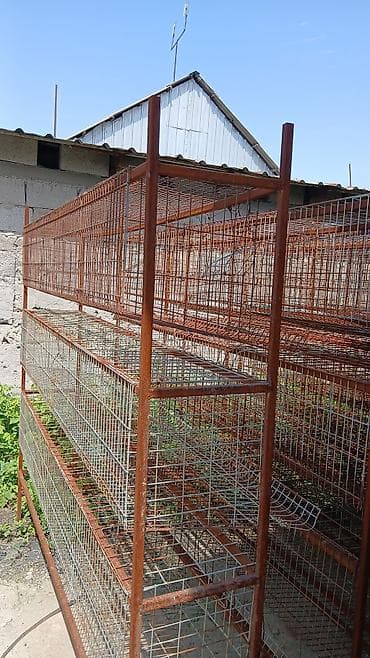 Удобства для дома и сада: Защитные сетки от птиц — 1