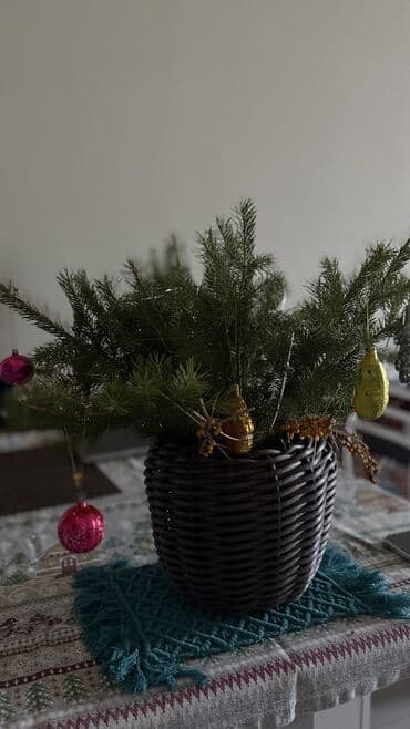 кала: Плетёные кашпо объем 12 литров . Первому покупателю сегодня — 4