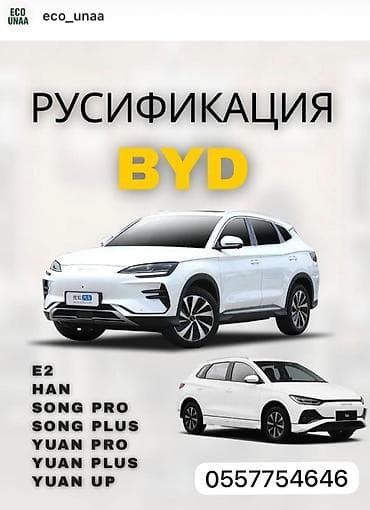 srv 3: Русификация автомобилей BYD Профессиональная локализация — 1
