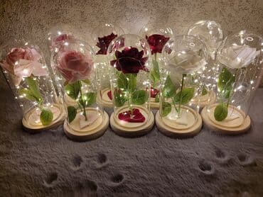 розы белые: Роза в колбе — готовый подарок, который производит впечатление — 10