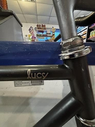 fixe: Фикс-байк (fixed gear) Lucy - Рама: L стальная, классическая — 2