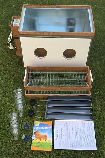 Услуги ветеринара: Инкубатор «Блиц-120» предназначен для инкубации 120 куриных яиц, 40 — 2