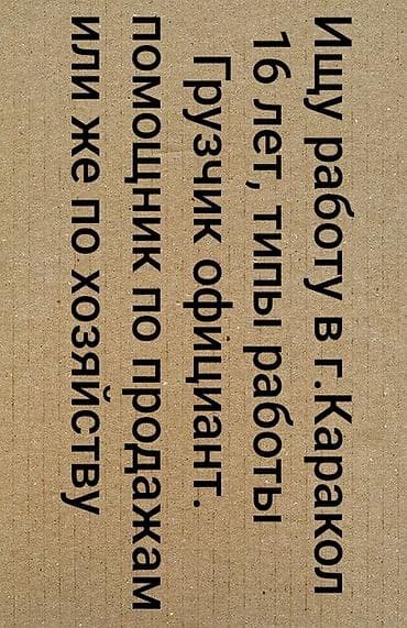 Ищу работу в г. Каракол. Возраст: 16 лет. Готов выполнять: -
