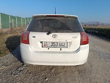 чернение шин: Toyota Allex: 2003 г., 1.5 л, Автомат, Бензин, Хэтчбэк — 1