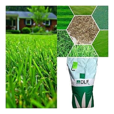 Газонная трава DLF (семена) - Профессиональная линейка DLF Seeds lalafo.kg да Газонная трава DLF (семена) - Профессиональная линейка DLF Seeds