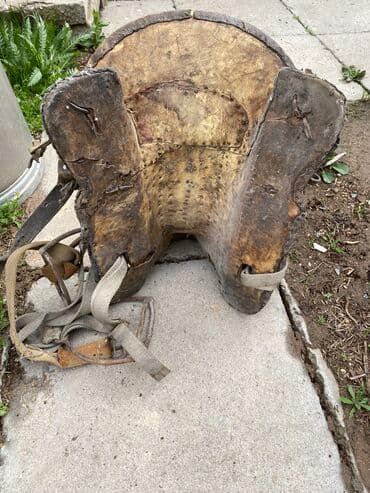 где можно купить молодых кур несушек: Антикварное седло, возраст 150 лет Редкое старинное седло, которое — 3