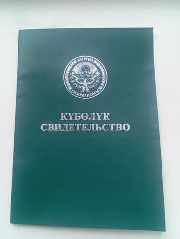 дома в новопокровке: 100 соток, Для сельского хозяйства — 1