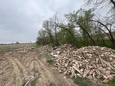 кызыл кия кыз: Кирпич полнотелый керамический (разбор). - Материал: обожжённая — 2