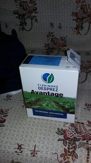 сейф бизнес маркетинг: Семена кормовых растений: Люцерна — 7