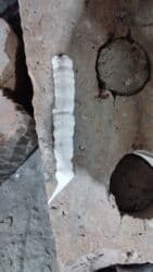 ремонт мебели на дому бишкек: Ремонт фар — 15