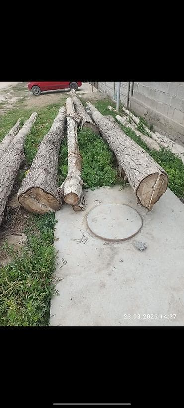 черновой: Кругляк/бревна лиственных пород - Порода: ориентировочно — 2