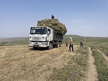 кводроцикл мото: MAN самосвал 6x4 для сельхоз- и стройработ - Полноразмерный трехосный — 3