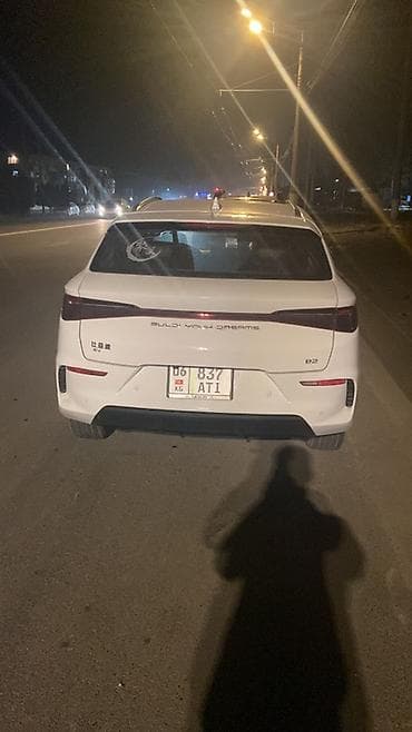 gl x164: BYD E2: 2022 г., Автомат, Электромобиль — 6