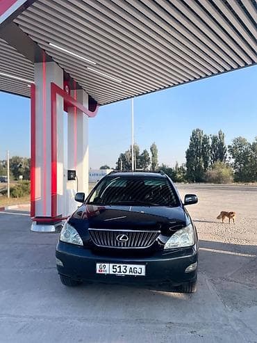 лексус их 300: Lexus RX: 2003 г., 3 л, Автомат, Газ, Кроссовер — 4