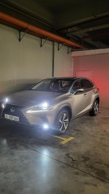 rx 2007: Lexus NX: 2018 г., 2.5 л, Автомат, Гибрид, Кроссовер — 10