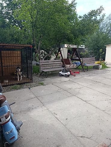 строим дом: Продаётся жилой дом с дворовой территорией. Основные особенности: - — 6