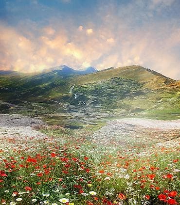 Башбулак 8 сотик Жер сатылат