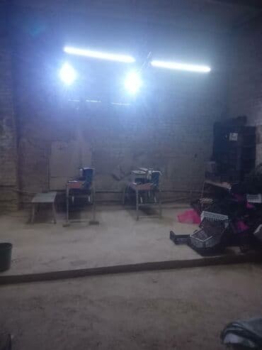 какой бизнес можно открыть в бишкеке 2024: Продам срочно действующий бизнес по производству декоративного — 7