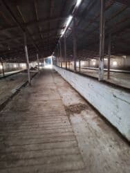 изу земельный дом жил массив кок жара: Продаю Ферма КРС, 1000 соток, Действующий, С оборудованием, Электричество — 4