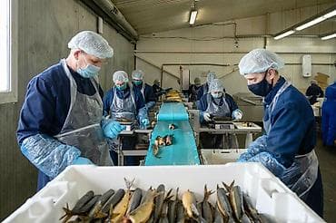 швеи аламедин 1: Упаковщица/фасовщица (упаковщик/фасовщик) - Компания: “OOO Балтийский — 4