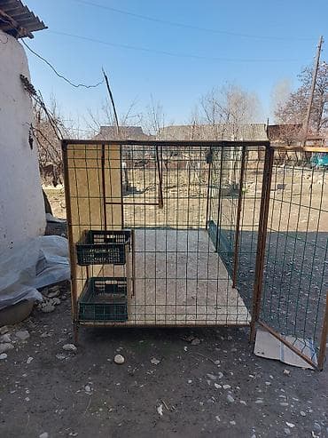 дробилка для корм: Тоокторго Тоок Капас узуну 2,50 турасы 1,25 Бийиктиги 1,25 Шаар — 7