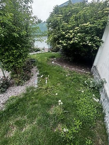 motion designer: Нужен человек кто наведет порядок на участке, скосит газон, прополоть — 3