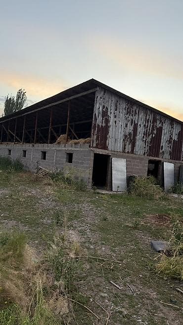 село васильевка: Продаётся животноводческая ферма (сарай) в отличном месте! 📍 Удобное — 8