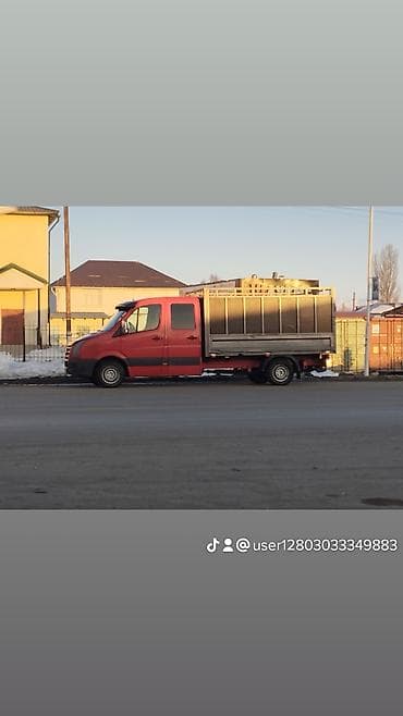 кызыл бирдик: Volkswagen : 2008 г., 2.5 л, Кол менен иштөөчү, Дизель, Бус — 4