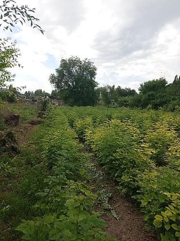 барачные квартиры на продажу: Дом с внутренним двором и террасой/верандой. - Одноэтажный жилой дом — 5