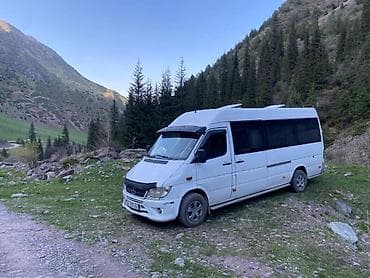 полки мебель: Пассажирские перевозки на микроавтобусе Mercedes‑Benz Sprinter буфер — 2