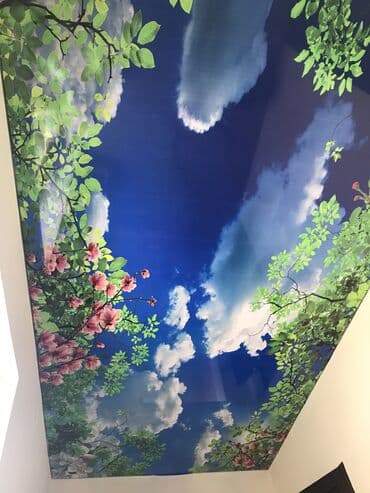 нятижной потолок: Керме шыптар Жылтырак, Жылтырабаган, 3D потолоктор Акысыз консультация, Акысыз ченөө, Кепилдик — 7