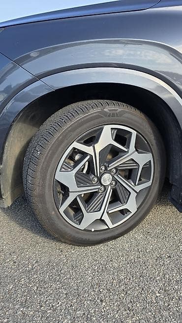360: Hyundai Palisade: 2022 г., 2.2 л, Автомат, Дизель, Кроссовер — 9