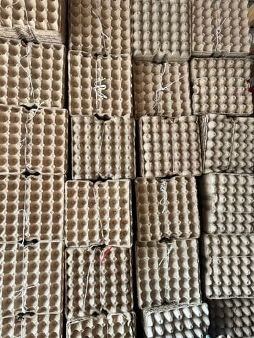 Лоток для яиц любое количество