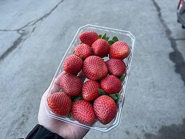 сало копчёное: Клубника — 3