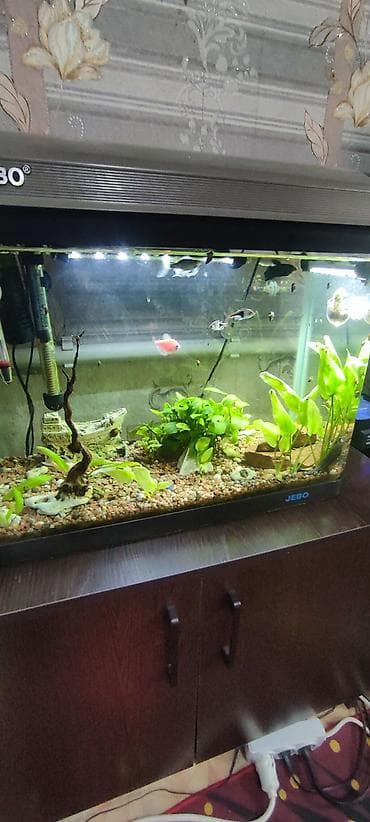 fish eye: Аквариумный комплект JEBO с тумбой с рыбками - Объём ориентировочно — 1