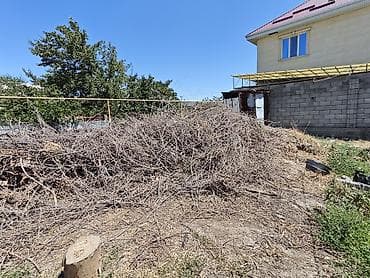 Забирайте беспално драву,ветки т.г — 1
