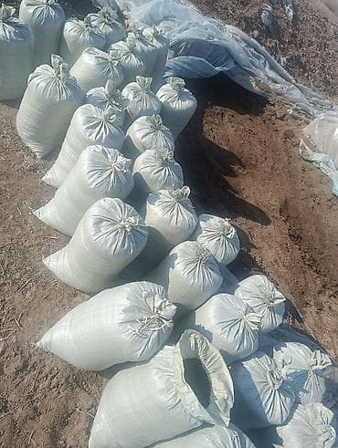 живые дрожи: Перепревший органический компост в мешках(БИОГУМУЗ) - Натуральный — 2