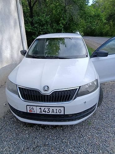 бесконтактная мойка: Skoda Rapid: 2016 г., Бензин, Седан — 1