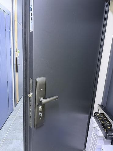 Двери для домов и квартир, Металлическая, Одностворчатая, Китайская, цвет - Серый — 2