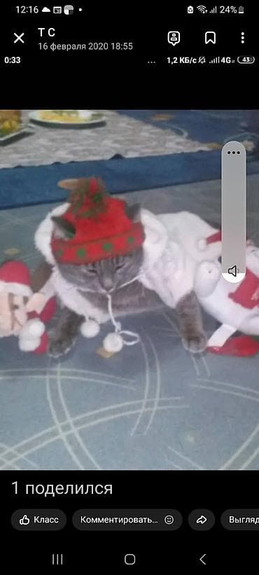 одежда для детей: Детские вещи для девочек 2.3.4 годика почти новый одам дешова — 8