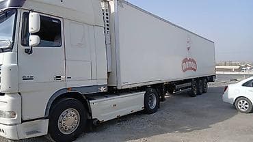 mini refrigerator: Тягач, DAF, 2007 г., Холодильник, рефрижератор — 3
