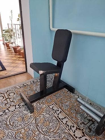 Велосипеды: Сиденье для жима/упражнений с опорой спины (домашний тренажер) - — 1