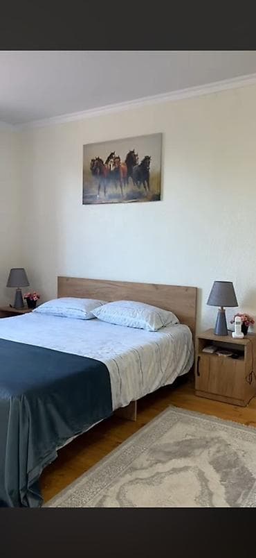 квартира почасовая: Гостевые апартаменты у Иссык-Куля с собственным крытым бассейном. - — 9