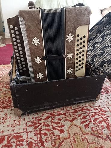 ля бубу: Баян с кейсом - Кнопочный баян в комплекте с жёстким кофром. - Корпус — 4
