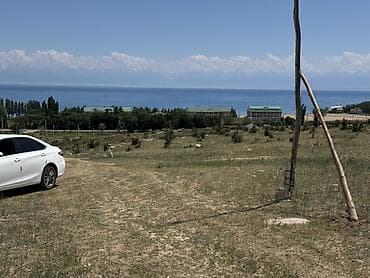 8 соток, Курулуш, Кызыл китеп — 2
