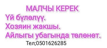 работа на дому бишкек упаковка: Малчы керек — 1