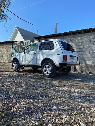 ВАЗ (ЛАДА) 4x4 Нива: 2004 г., 1.7 л, Механика, Бензин, Внедорожник