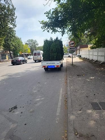 sprinter 2 7: Легкий грузовик, Hyundai, Стандарт, 1,5 т — 5