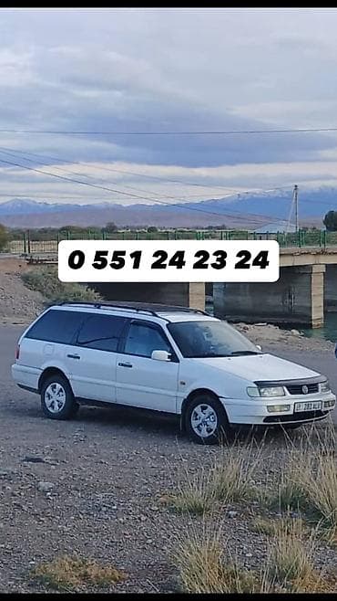 Volkswagen Passat Variant: 1996 г., 0.8 л, Механика, Газ, Универсал