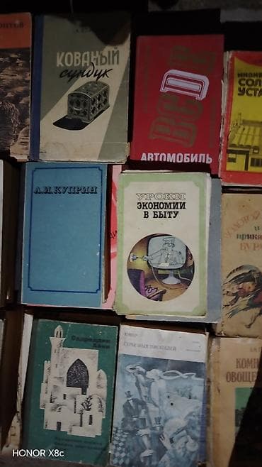 local guide program: Подборка бумажных книг на русском языке (разные жанры и годы издания) — 9